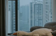 Skyline Serenity — ảnh nhỏ 11